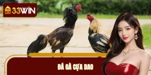 Đá Gà Cựa Dao