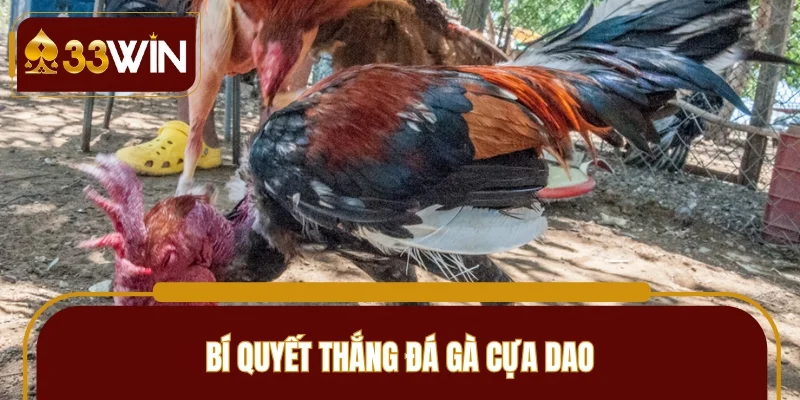 Kinh nghiệm nhận định kết quả hiệu quả cực cao