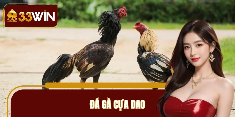 Đá Gà Cựa Dao