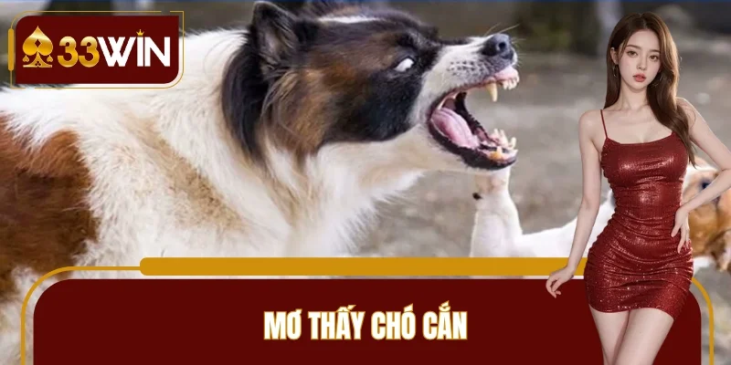 mơ thấy chó cắn
